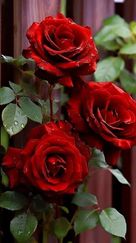 Profil de Gauthier, 22 ans, Plan cul à Baar (Zoug)