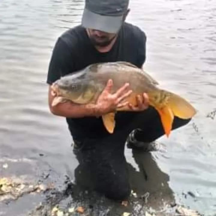 Profil de Jérémy, 27 ans, Plan cul à Altbüron (Lucerne)