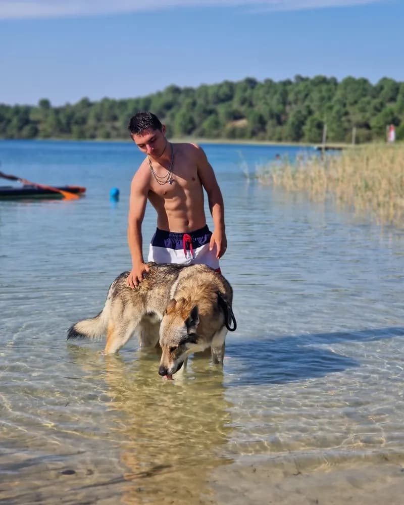 Profil de Aziz, 24 ans, Plan cul à Gossau SG (Saint-Gall)