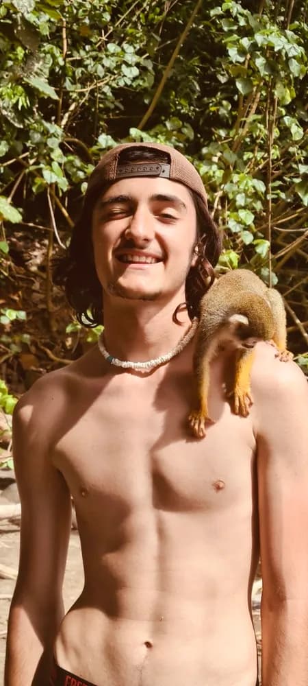 Profil de Malek, 33 ans, Plan cul à Seewen SZ (Schwytz)