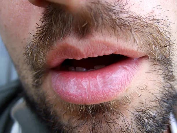 Profil de Guillaume, 26 ans, Plan cul à Rovray (Vaud)