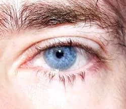 Profil de Hedi, 34 ans, Plan cul à Faoug (Vaud)