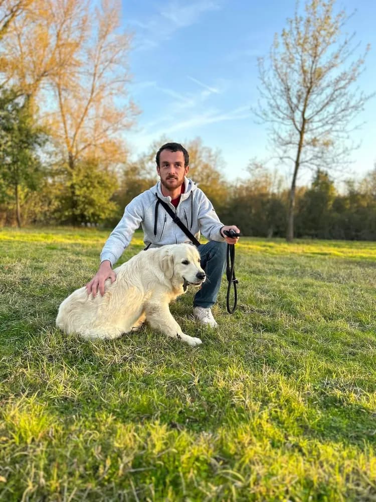 Profil de Mahdi, 29 ans, Plan cul à Gordevio (Tessin)