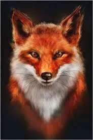 Profil de Imran, 31 ans, Plan cul à Ennetbürgen (Nidwald)