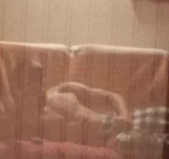 Constantin - Plan cul à Rickenbach b. Wil Profil de Constantin, 26 ans, Plan cul à Rickenbach b. Wil (Thurgovie)