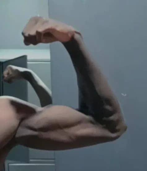 Junayd - Plan cul à Riehen Profil de Junayd, 26 ans, Plan cul à Riehen (Bâle-Ville)